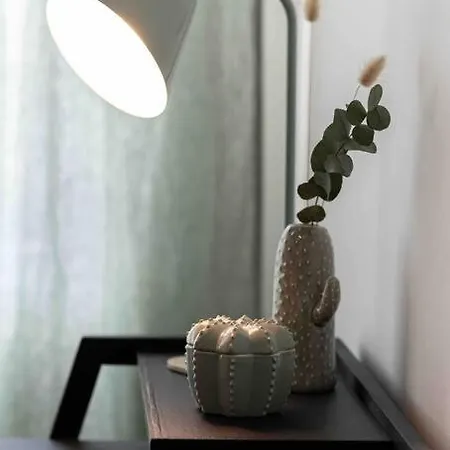 T3 La Perle Verte * Agde